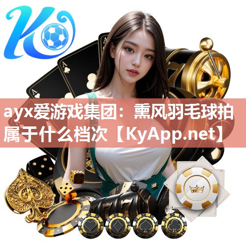 熏风羽毛球拍属于什么档次 熏风羽毛球拍属于什么档次