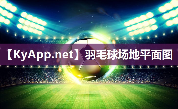 羽毛球场地平面图 羽毛球场地平面图
