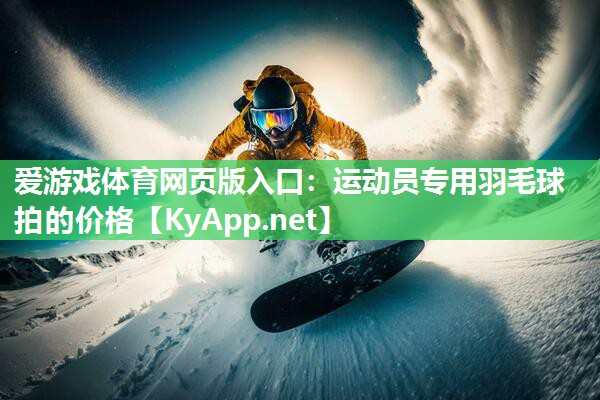 运动员专用羽毛球拍的价格 运动员专用羽毛球拍的价格