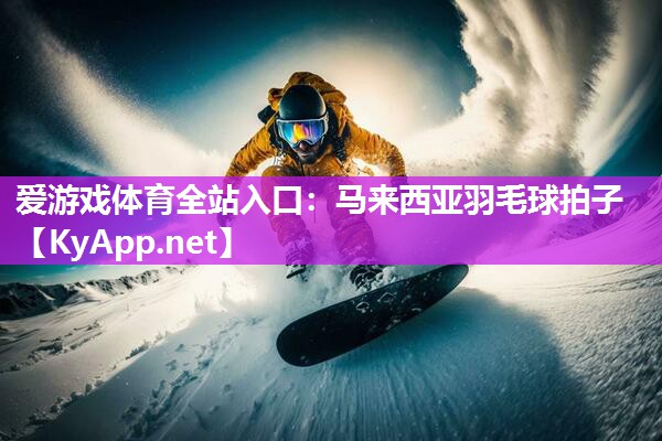 马来西亚羽毛球拍子 马来西亚羽毛球拍子