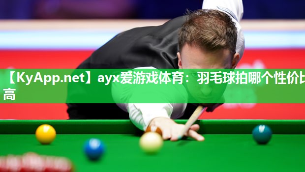 羽毛球拍哪个性价比高 羽毛球拍哪个性价比高