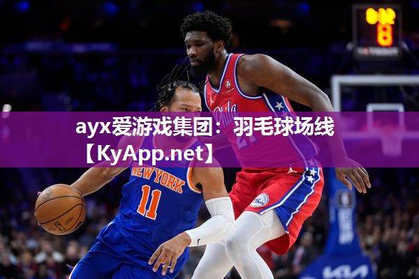 羽毛球场线 羽毛球场线